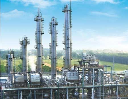 ������ʱ - �������ǲ�