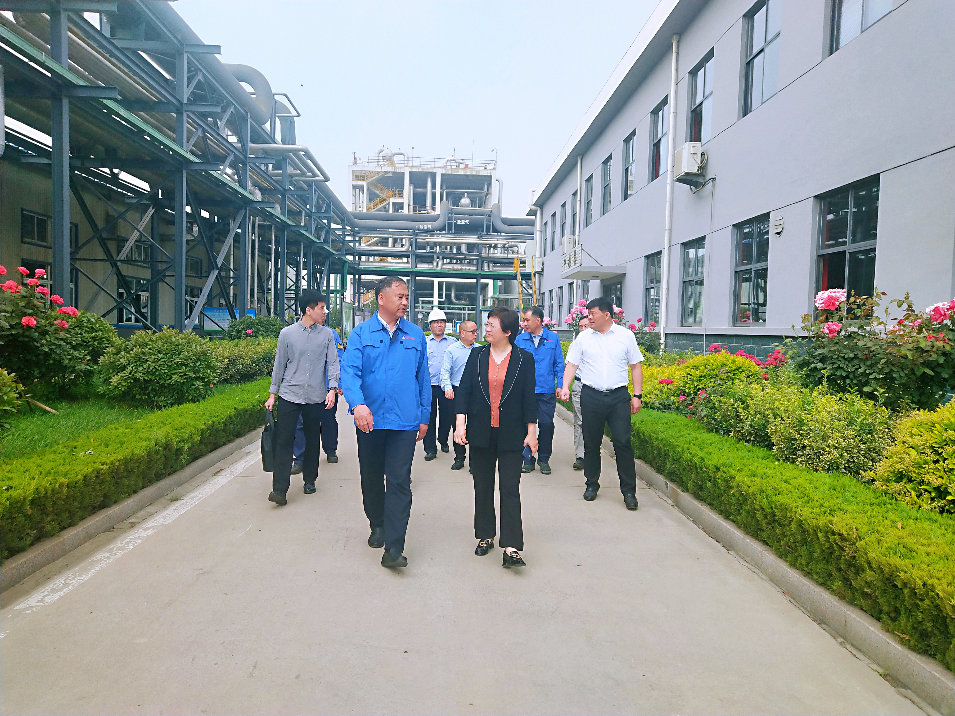 ������ʱ - �������ǲ�